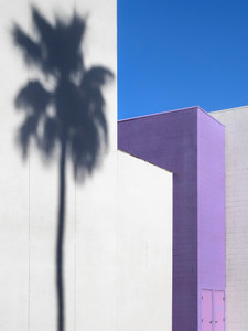 Palm Springs​​