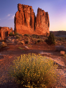Courthouse Towers