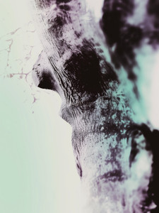 The Tree .2