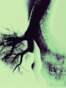 The Tree .3