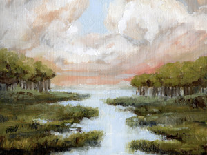 Ace Basin Tidal Creek
