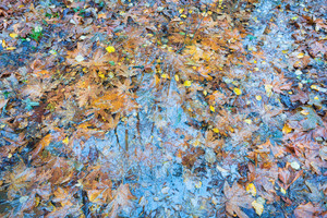 November​​​