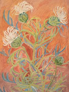 Pitcher's Thistle