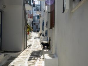 Aegean Dreamer