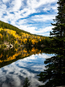 Golden Aspen Lakeside — Vertical Autumn Scene