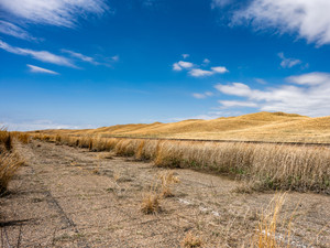 Golden Prairie Under Big Sky — Landscape Art