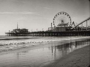 Sea Shore Days