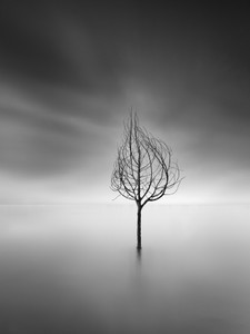 Like a Dream