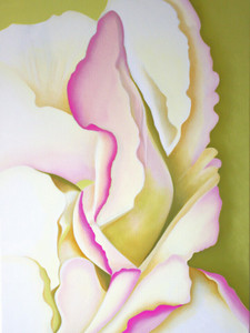 BEGONIA​​