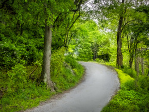 Tennessee Backroads