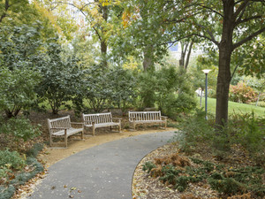 A Curve in the Path