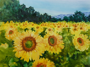 Here Comes the Sun​​​​​
