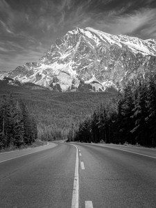 Approach to Edith Cavell