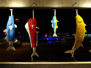 Colorful fish at the historic Tampa Tarpon Dock