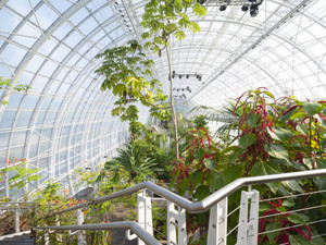 Myriad Botanical Gardens Overlook