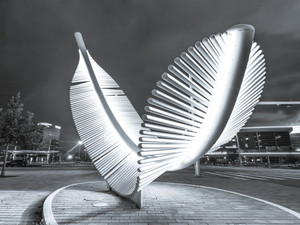 Taking Flight 2 (black & white)