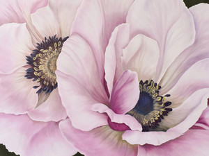 Anemone Blooms