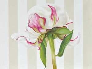 Peony Bud on Cream