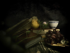 A Snack for Charlotte