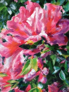 Azalea 340