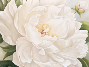 White Peony​​