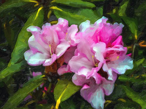 Painterly #1