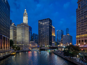 Nights of Chicago