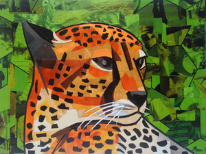 The Serious Cheetah