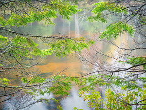 Ausable Boughs