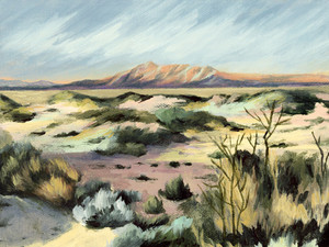 Across The Mojave