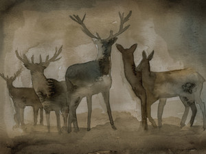 Quiet Company: Dusk (elongated)