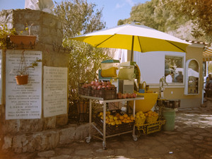 Amalfi Citrus