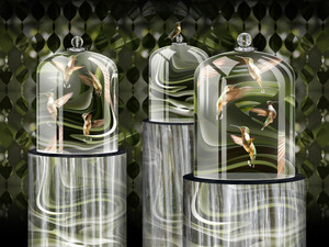 We Shelter In Glass
