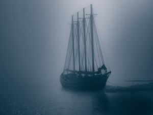 Silent Arrival