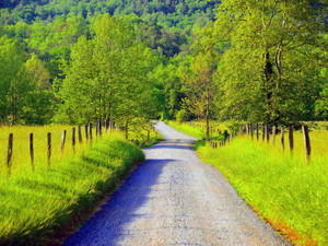 Country road through Cades Cove Tennessee.