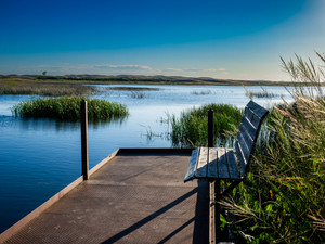 Lakeside Bench Overlook — Sandhills Wetland