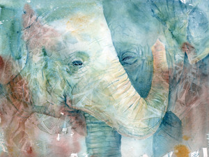 Elephant Embrace