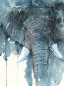 Balboa Blue Elephant
