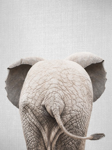 Baby Elephant Tail