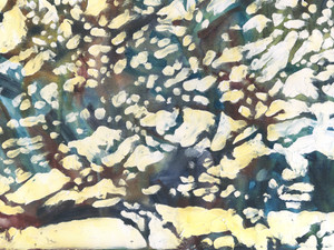 Birds and Branches