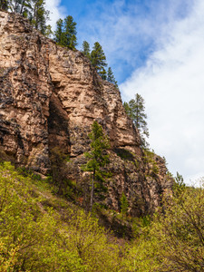 Rock Cliff Near Roughlock Falls