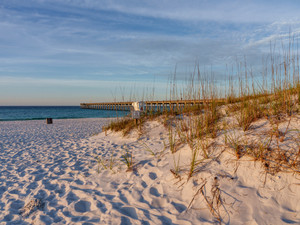Pensacola Beach Golden Dawn Sand Dune