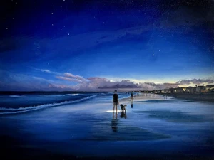 Night Walk, Isle of Palms, SC