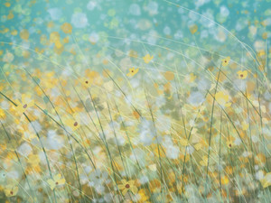 Wildflowers​​​​​​​​​​​​​​​​​​​​​​​​​​​​​​​​​​​​​​​​​​