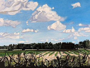 My Neighbor's Field