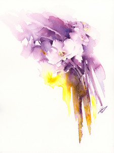 Dreamy White Orchids
