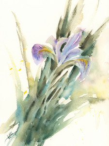 Blue Flag Iris with Leaves