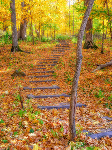 3236 Steps at Dolliver State Park