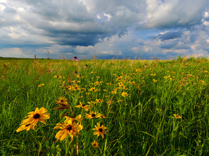 2428 Storm Clouds on the Prairie