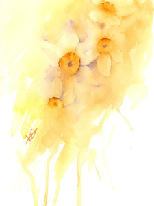 Daffodil Dream
